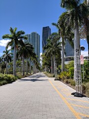 Fototapeta na wymiar Miami Downtown