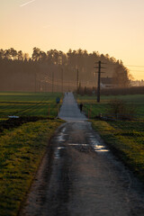 Fototapeta premium long swiss Road during sunset