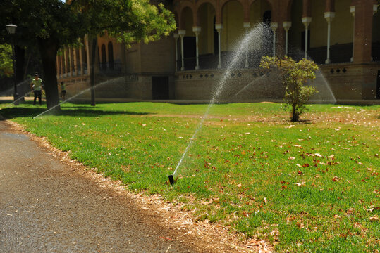 Riego por aspersi&oacute;n de los jardines del Parque de Mar&iacute;a Luisa en Sevilla, Andaluc&iacute;a, Espa&ntilde;a. Sistema de aspersores para riego del c&eacute;sped de un jard&iacute;n urbano.
