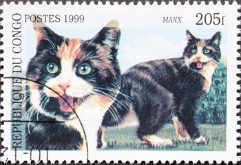Republic Congo - circa 1999: A post stamp printed in Republic Congo showing Manx Cat (Felis...