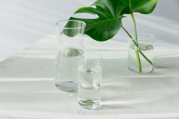 Morning glass and jar of clean water with two big green leaves
