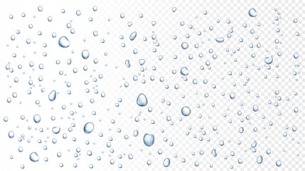 Water rain drops on window, shower steam condensation on glass. Realistic raining droplets, raindrops on transparent surface vector background. Pure aqua blobs on transparent backdrop