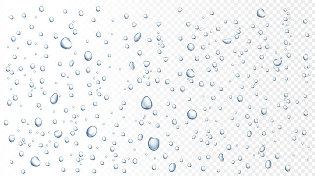 Water rain drops on window, shower steam condensation on glass. Realistic raining droplets, raindrops on transparent surface vector background. Pure aqua blobs on transparent backdrop