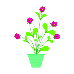 flower bouquets, blooming plants in clay or plastic flowerpots, wicker basket flower bouquets,Vector set of flowers and plants in pots 