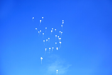 Białe balony w kształcie serc szybujące na tle niebieskiego nieba, wesele, uczucia i emocie, zasoby graficzne. - obrazy, fototapety, plakaty