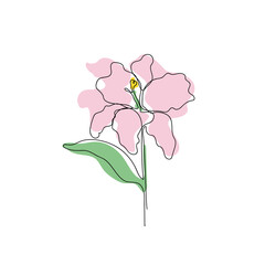 powdery pink lily, one line design, isolated, modern minimalism