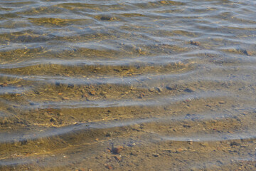 Plan d'eau transparent