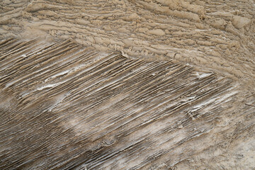 Grainstone Rocks in Israel