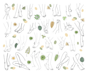 Collection. Silhouettes of human legs and leaves in a modern one line style. Plants solid drawing, decor outline, wall poster, stickers, logo. Vector illustration set.