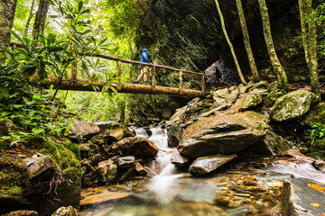Hikers cross a wooden foot bridge over a stream and under Arch Rock