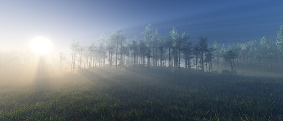 A beautiful glade in the early morning in the rays of the sun, the edge of the forest in the early morning in the fog, sunrise over the forest, 3D rendering