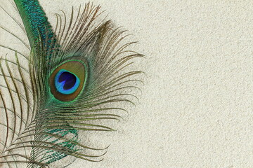 beautiful peacock feather in sea sand background