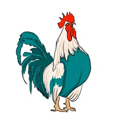Rooster cock character singing morning alarm cartoon illustration