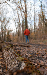 Fototapeta premium Autumn forest. A boy with red coat walking in forest in winter. The focus is on the wood log. The background is blur intentionally. 