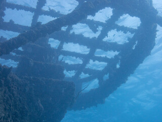 Ship wreck in Barbados