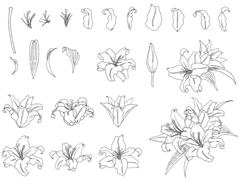 カサブランカ の画像 14 248 件の Stock 写真 ベクターおよびビデオ Adobe Stock カサブランカ の画像 14 248 件の Stock 写真 ベクターおよびビデオ Adobe Stock
