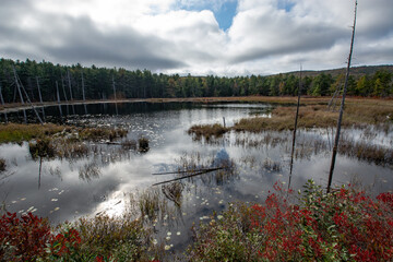 Acadia National Park