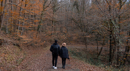 Fototapeta premium Romance, love concept. Lover walking in forest. A couple travel together hand to hand in autumn season.