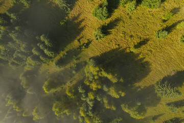 Fototapeta na wymiar Aerial view of beautiful landscape with misty forest
