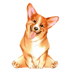 Vector illustration of sitting pembroke welsh corgi dog