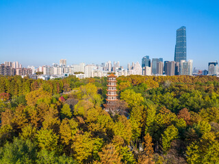 Obraz premium Wuhan Liberation Park late autumn scenery in Hubei, China
