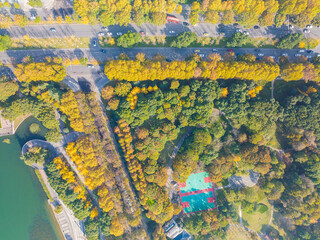 Autumn scenery of Houxianghe Park in Wuhan, Hubei, China