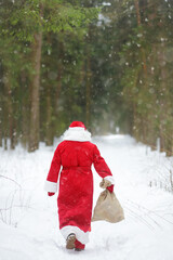 Santa Claus with a bag of Christmas gifts is walking through a snowy winter forest. An animator or...