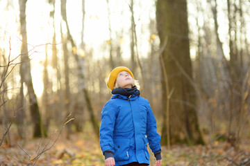 Little boy is hiking in the forest in fall. Child is exploring nature. Kid is playing and having fun on autumn day.
