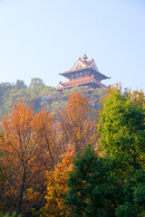 Hubei Wuhan East Lake Scenic Area Late Autumn Scenery
