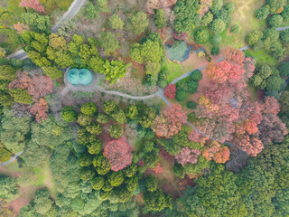 Hubei Wuhan East Lake Scenic Area Late Autumn Scenery