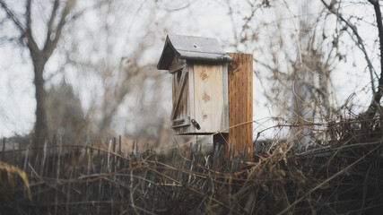 Birdhouse in a backyard in winter