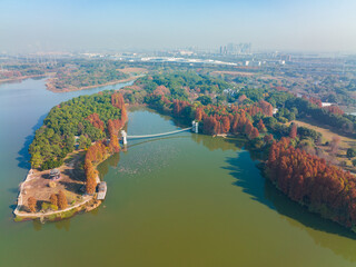 Hubei Wuhan East Lake Scenic Area Late Autumn Scenery