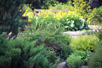 Colorful garden. Flowerbeds in a beautiful city park.
