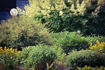 Colorful garden. Flowerbeds in a beautiful city park.