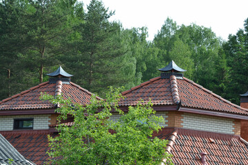 Chinese pagoda roof among the trees of the park