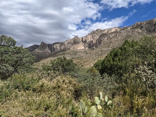 New Mexico Landscape
