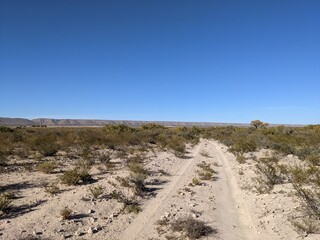 New Mexico Landscape