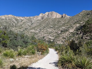 New Mexico Landscape