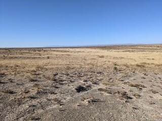 New Mexico Landscape