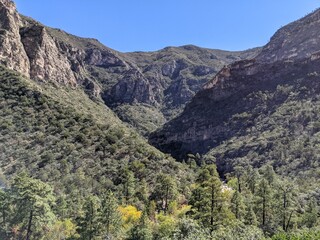 New Mexico Landscape