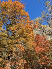 New Mexico Landscape