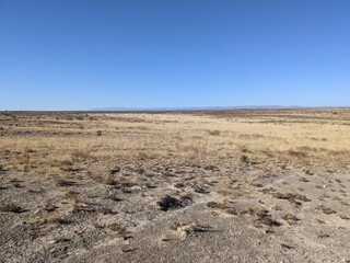 New Mexico Landscape