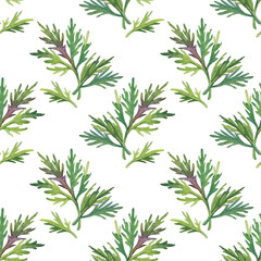 Seamless pattern watercolor greenery dill isolated on white background. Hand-drawn food seasoning for soup salad. Green leaves for cooking. Art for kitchen menu cookbook cafe wallpaper wrapping
