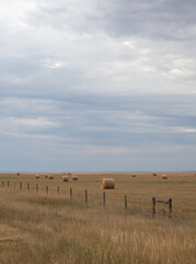 Vertical Image of Large Round Hay Bales in Field with Gray Clouds Overhead