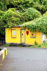 Caribbean shack in nature outdoors.