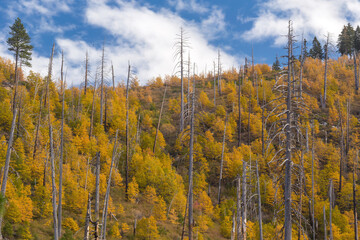 Landscape of Yosemite National Park in USA in autumn