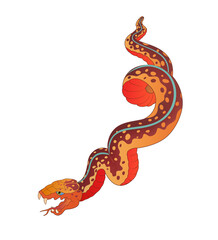 snake vector illustration oriental style white background 뱀 일러스트 irezumi design