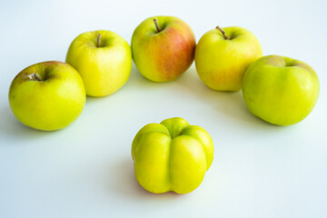 An interesting, unusual, strange apple. An ugly apple surrounded by ordinary ones. The photo...