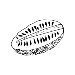 noni fruit slice hand drawn doodle. vector, minimalism, scandinavian, monochrome, nordic, sketch. icon, sticker, label, isolated. superfood, food.