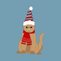 Cat in christmas holiday hat and scarf